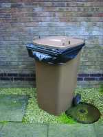 Wheelie Bin & Compactor
